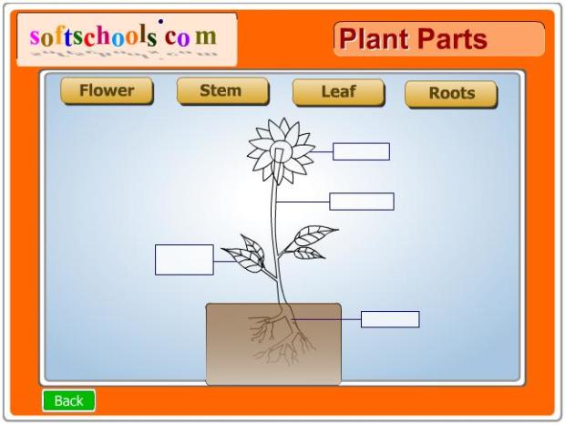 Plant parts game