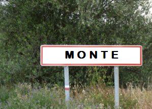 THIS IS MONTE