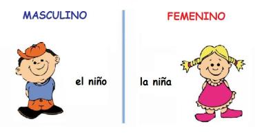 MASCULINO Y FEMENINO