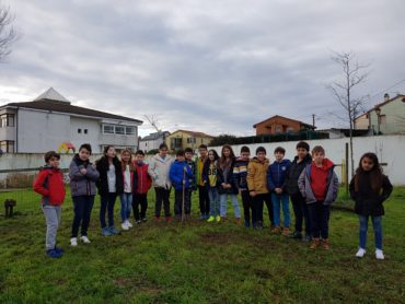 LOS NIÑOS DE CUARTO DE PRIMARIA PLANTAN UNA ENCINA.